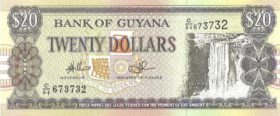 20 долларов Гуяна